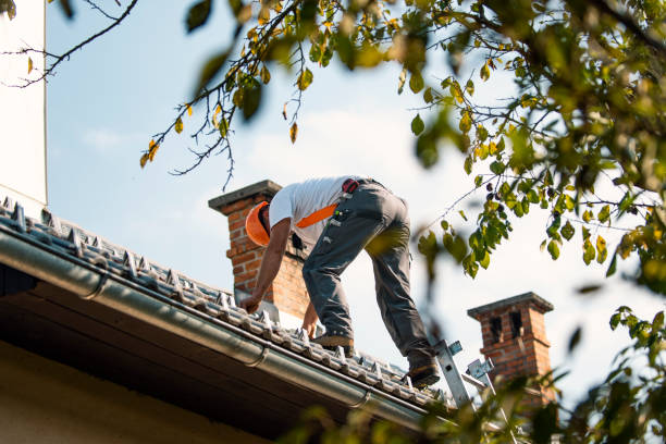 Best Gutter Installation and Roofing  in Mount Wolf, PA